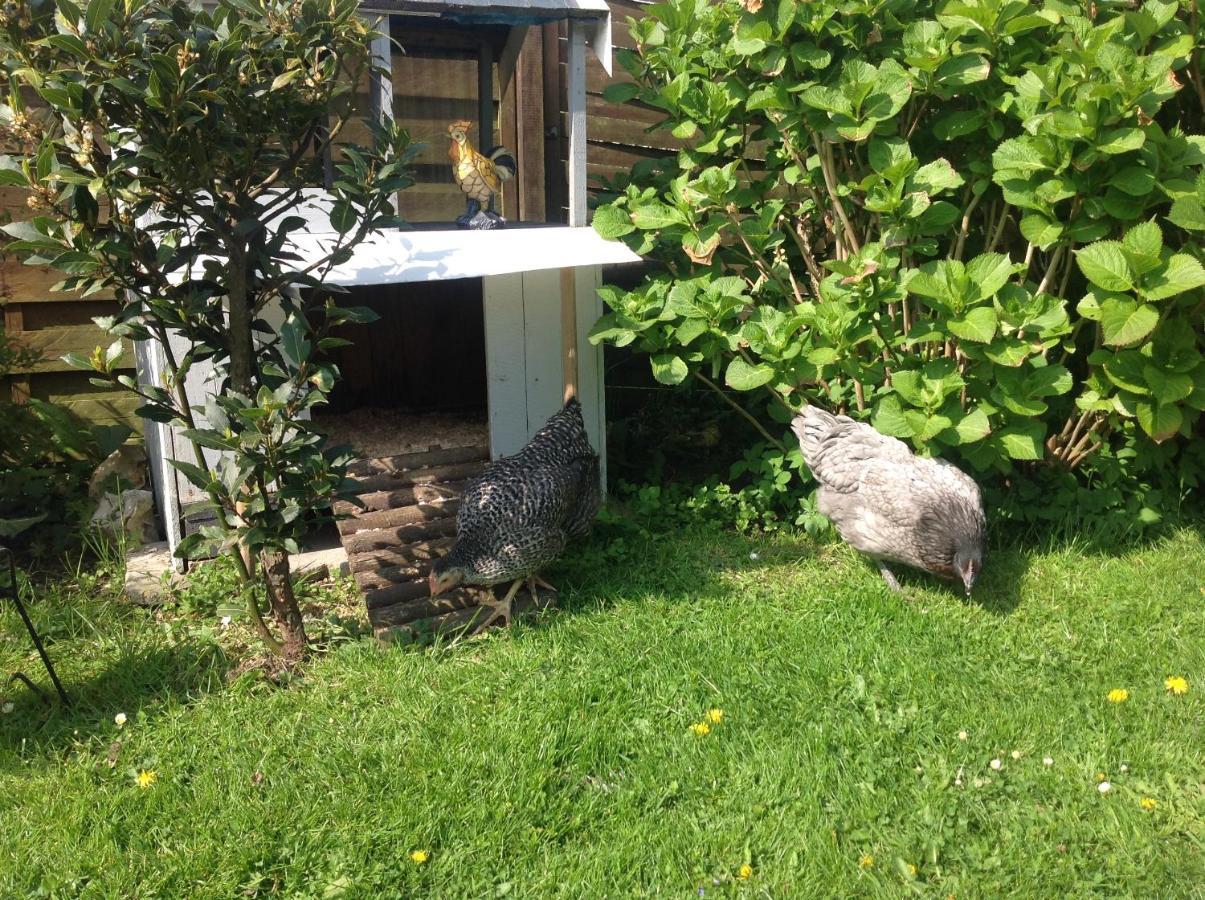 Le Jardin Des Poules Bed & Breakfast Thietreville Exterior photo